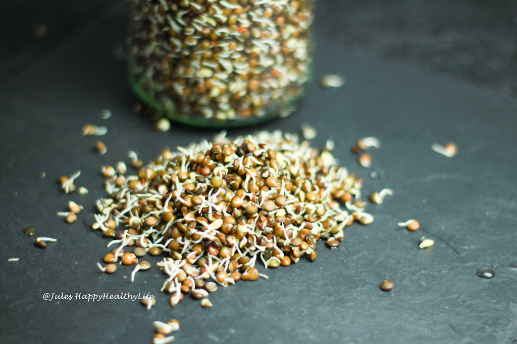 Sprouted Lentils for vegan Salad with Sprouted Lentils